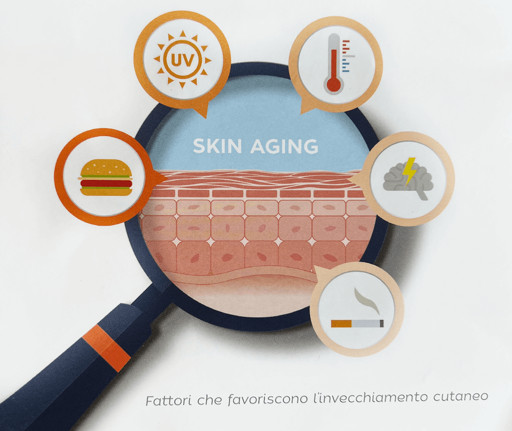 skin aging 1