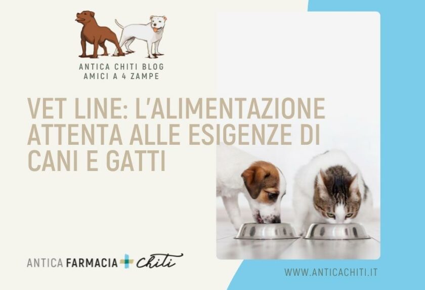 Vet Line: l’alimentazione attenta alle esigenze di cani e gatti